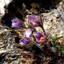 문산1리 이미지