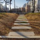 신평초교옆 공원 이미지