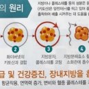 고강보리밥 이미지