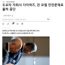 일)다이하츠 안전테스트 조작으로 모든 차종 출하 정지 이미지