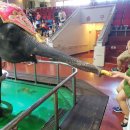 점보빌리지 이미지