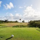 오션포인트 이미지