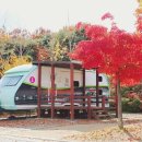 단호샌드파크 캠핑장 이미지