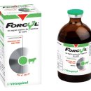 (주)덤코리아 이미지