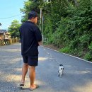 돌개구멍 화장실 이미지