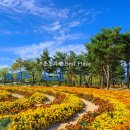 칠곡제이(J)성형외과의원 | 춘천 산부인과 제이여성의원 여의사진료 친절 깔끔