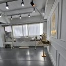 히트앤핏 당산점 | 성인취미발레로도 딱인 당산발레학원, 아르앤 발레학원
