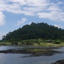 식산봉의 황근자생지 및 상록활엽수림 이미지