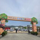 2025 청주시 도시농업페스티벌 방문 후기