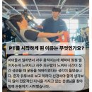 유지도트 이미지