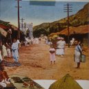 배상선농장 이미지