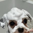 인천미용상사 이미지