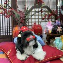 (주)라온부동산중개법인 이미지