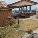 들꽃이 있는 바다 이미지