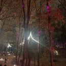 무지개초등학교 | 부천 자연 생태공원 루미나래 (도화몽) 초등학교 3학년 자녀와 다녀온 후기~