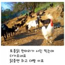 가실골농장 이미지