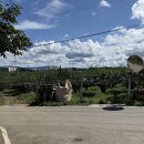 더사뿐 | 페라리 저상트랙터 사뿐클러치 장착 실전 후기 - 전국 유일 노하우 공개!