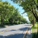 명봉거남로 이미지