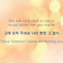 풍연