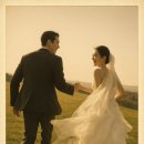 원원농장 이미지