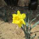 민박 동면 이미지