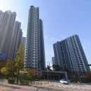 화서 태권도장 이미지