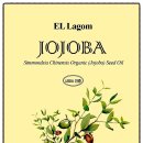 김정희오일 이미지