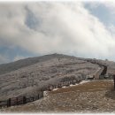 노고단-12 이미지