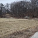 백암수정분교 이미지