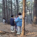 숲에서자라는아이들 이미지