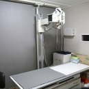 서현지소아청소년과의원 이미지