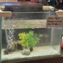 한빛빌딩 | [후기]대전 2025 푸드 앤 맥주 페스타 다녀온 후기 - 대전 한빛탑