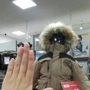 아디다스키즈롯데인천 네이버블로그
