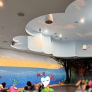 아코디언초급 | 아이와 첫 잠실 롯데월드 6세 롯데월드 35주년 퍼레이드