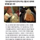 아이돈까스