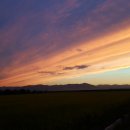 커피 향기 그리운 날에 이미지