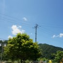 배꼽장승 이미지