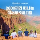 (주)쿠폰트리투어 | 미국 서부 여행 세미패키지 LA 그랜드캐년 요세미티 당일투어 혼자 미서부패키지 추천 🇺🇸