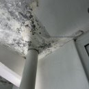 법동주공2단지아파트 이미지