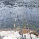 남해낚시 이미지