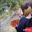 병설농장 이미지