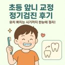유치 | [초등 앞니 교정 후기] 유치 빠지는 시기부터 정기검진까지 정리!