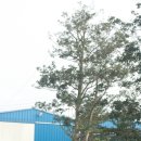 횃불농장 이미지