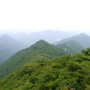 못안 Daum카페