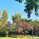 가조수협효시공원 이미지