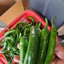 김종화농장 이미지