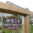 에셀나무 게스트하우스 이미지