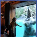 동물들을 옆에두고 목욕과 식사를, 호주 캔버라의 '자말라 야생 로지 호텔 이미지