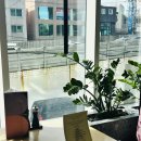 [인문] 클래식은 두 번째라 | 안다즈 서울 강남 조각보 애프터눈티세트 가을편 신한 클래식 y 혜택 이용후기