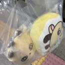 박지훈 소심이 사운드웨이브 팝업 후기